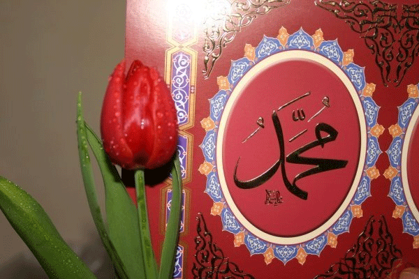 Veda haccı ve veda hutbesi nedir?