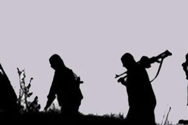 Mardin'de 2 PKK’lı teslim oldu