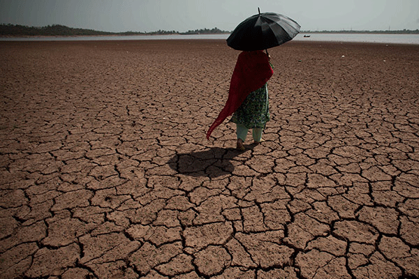 Mısır'da  sıcaklıklar öldürüyor