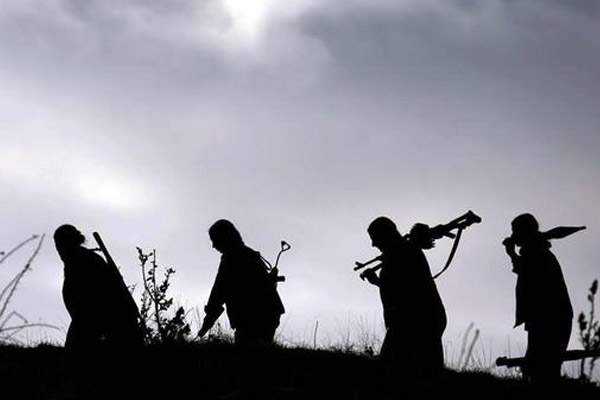 Hakkari'de 2 PKK’lı etkisiz hale getirildi