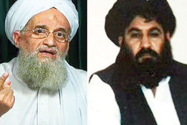 Taliban liderinden El Kaide'ye teşekkür