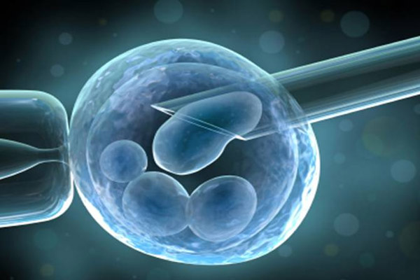 Kök hücre bağışında sevindirici rakam