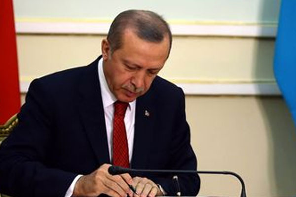 Cumhurbaşkanı Erdoğan'ın iki yetkisi