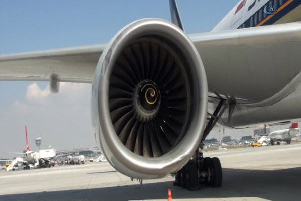 Leylek sürüsü acil iniş yaptırdı