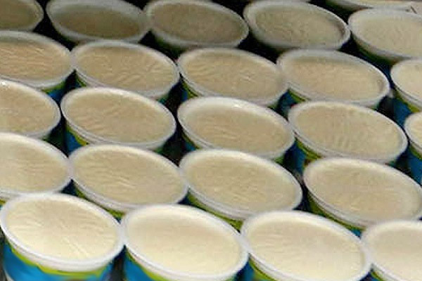 6 bin 400 kase yoğurdu çaldılar