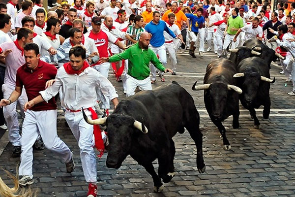Boğa güreşlerinde kanlı yıl