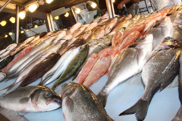 Balık fiyatları altını geride bıraktı