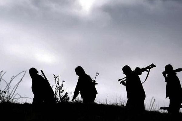 Hakkari'de iki PKK'lı teslim oldu