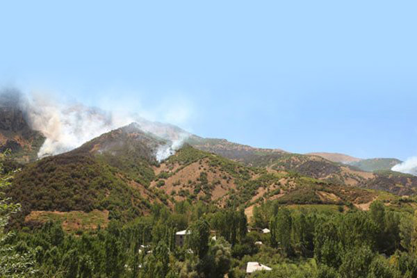 O PKK'lılar öldürüldüler