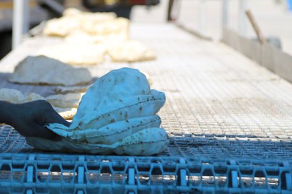 Suriye'de ekmeğin fiyatı 15 lira