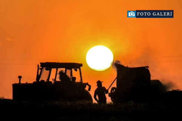 Çiftçilerin kış hazırlığı