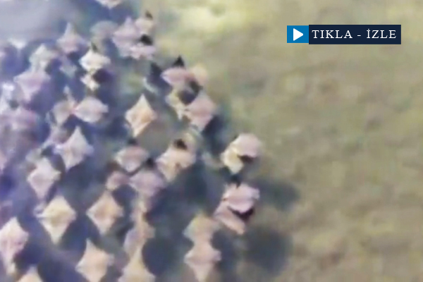 Gökyüzü değil denizin dibi