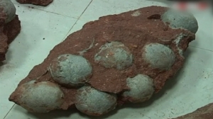 2 bin yıllık yumurta bulundu