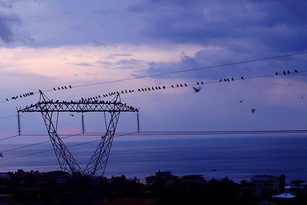 İstanbul'da 15 Aralık'ta elektrik kesintisi