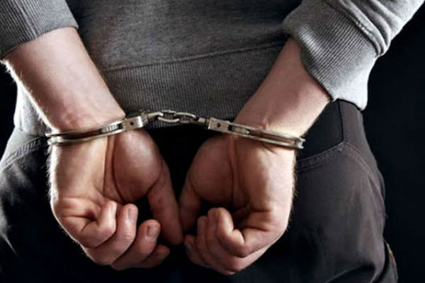 Tunceli’de 4 PKK üyesi tutuklandı