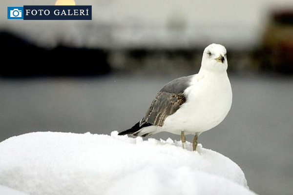 İstanbul'a yeniden kar yağacak