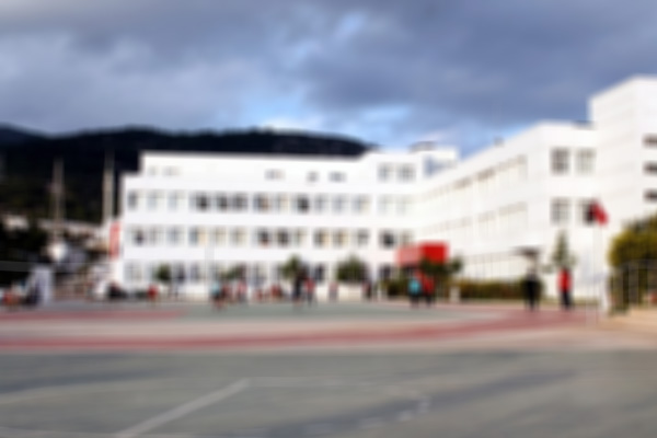 Nijer'deki FETÖ okulları Maarif Vakfına devrediliyor