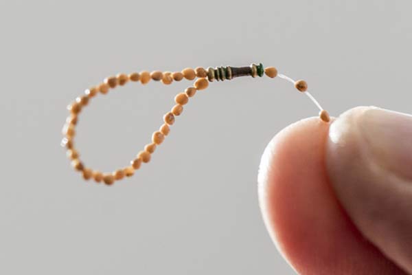 Esma-i Hüsna'yı incir çekirdeğine sığdırdı