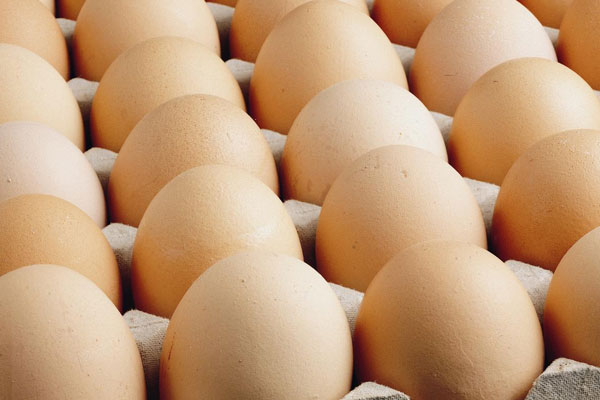 Yumurta fiyatları 20 günde yüzde 100 arttı