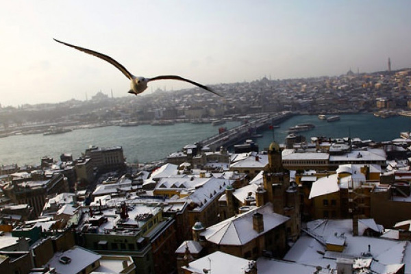 İBB harekete geçti! İstanbul'a özel olacak