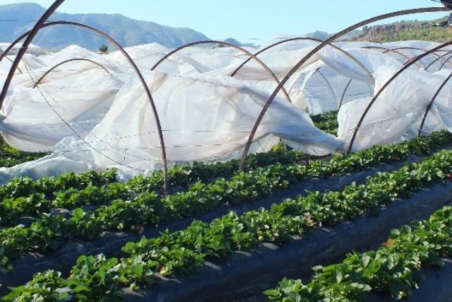 Meteorolojiden uyarı