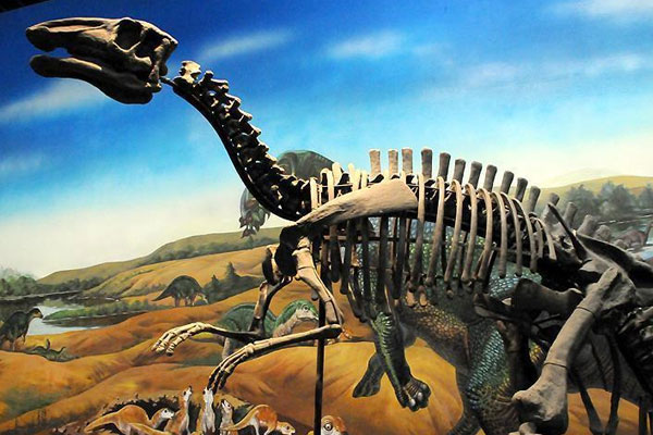 Diş döken dinozor türü keşfedildi