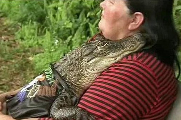 Floridalı çılgın kadın evinde timsah besliyor