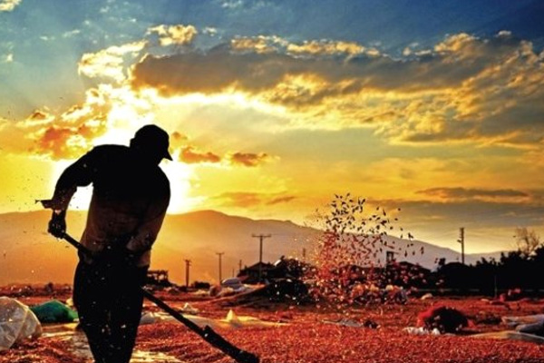 Suudi Arabistan, Türk firma arıyor