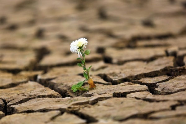 Kuraklık Muğla’da yaşamı durdurdu