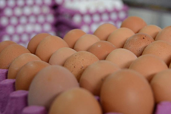 Kahverengi yumurtanın fiyatı arttı
