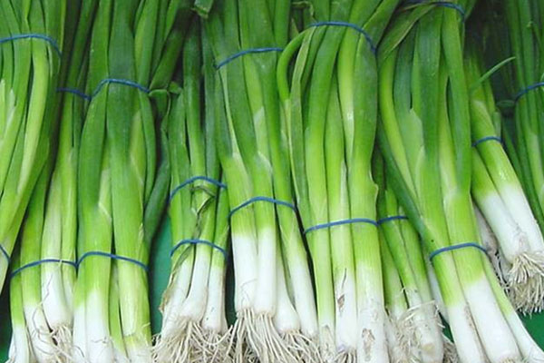 Aralık ayının zam şampiyonu belli oldu