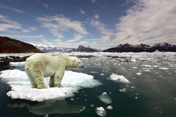 Tüm dünyayı uyardı: Tehlikeli düzeye ulaştı