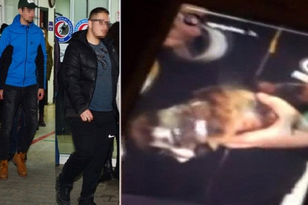 Kediyi bantlayan gençler: Yaptığımız büyük şerefsizlikti