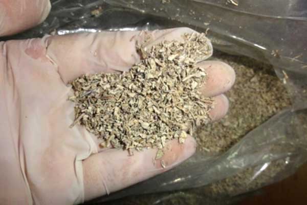 Kocaeli'de 2016'da 2 ton uyuşturucu yakalandı