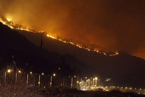 Sürmene'deki orman yangını kontrol altına alındı