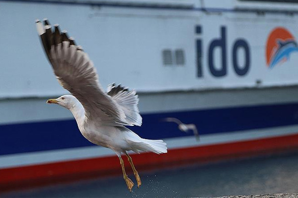 İDO'dan sefer iptalleri