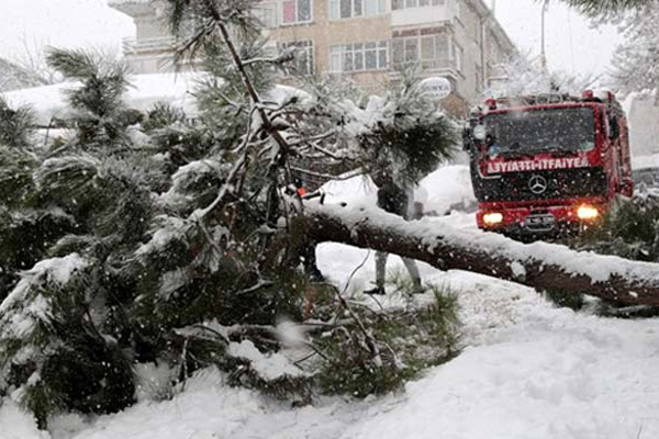 Yoğun kar İstanbul'da ağaçları devirdi