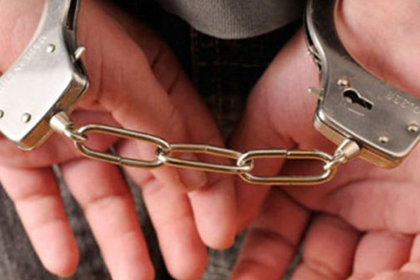 HDP'li başkan tutuklandı