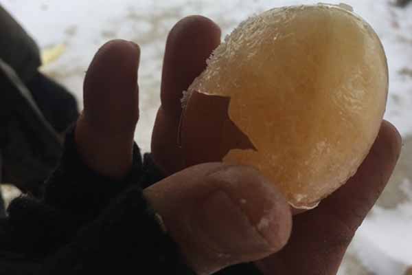 Soğuktan bu hale geldi