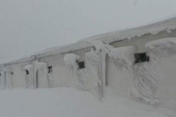 150 bin tavuk tehlikede