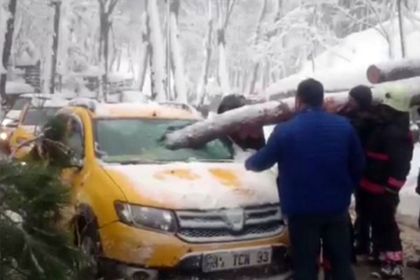 Yıkılan ağaç taksinin camından girdi