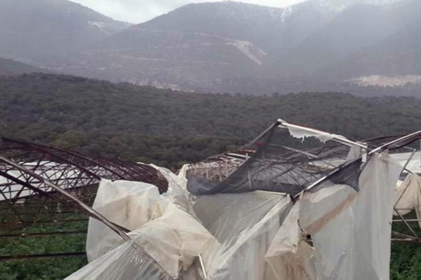 Hortum seraları vurdu