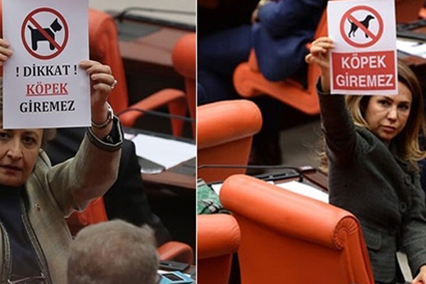 AK Partililerden CHP'ye 'dikkat köpek giremez' afişi