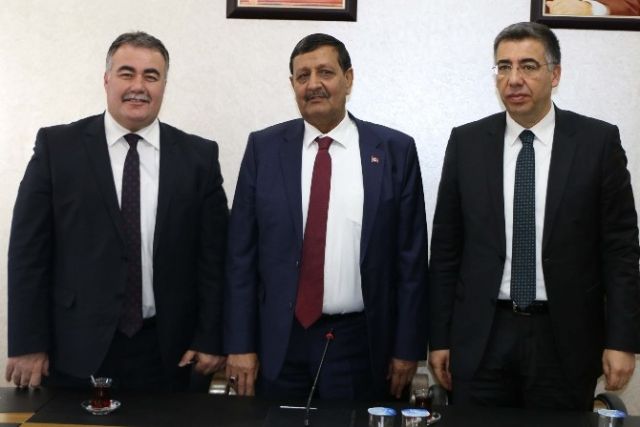 Harran Ovası'na 1 milyon zeytin ağacı
