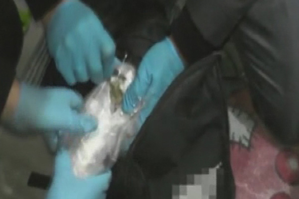 Pendik'te uyuşturucu operasyonu