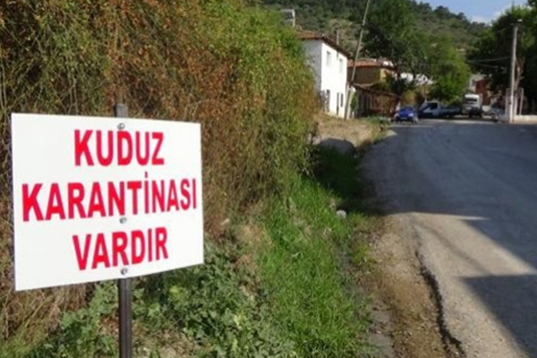 Afyonkarahisar'da kuduz alarmı