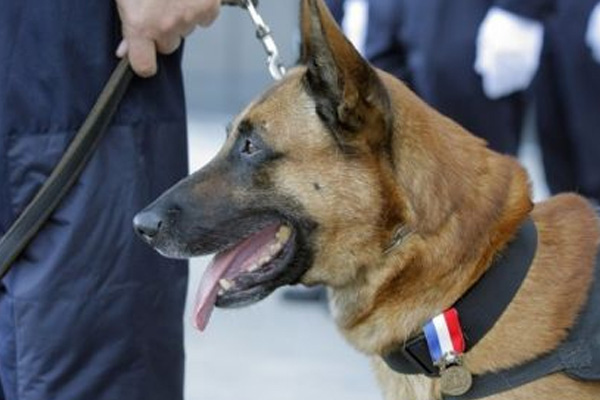 Eroin yapımında kullanılacak kimyasal ele geçirildi