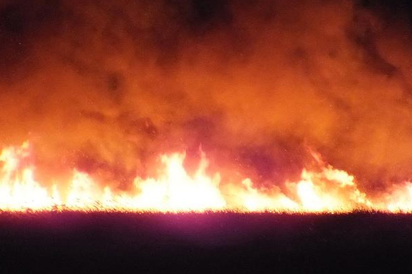 Göksu Deltası'nda yangın