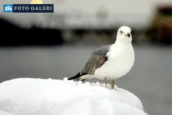 Meteoroloji uyardı: Kar geri geliyor!