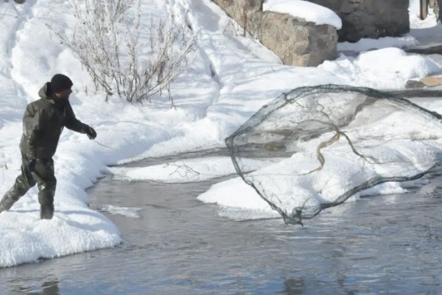 Balığın fiyatı düştü